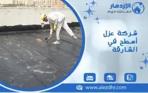 شركة عزل اسطح في الشارقة