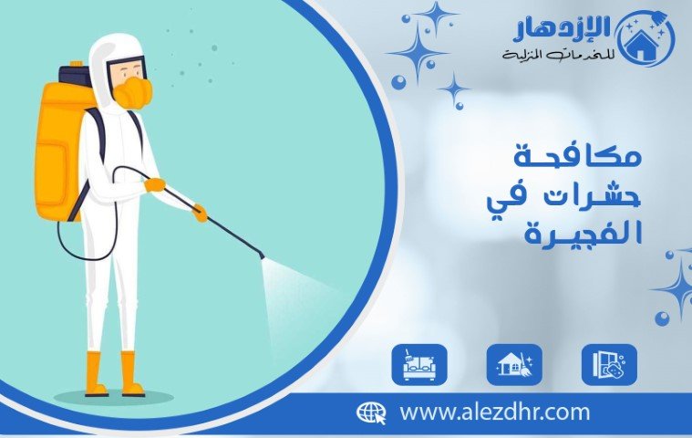 مكافحة حشرات في الفجيرة