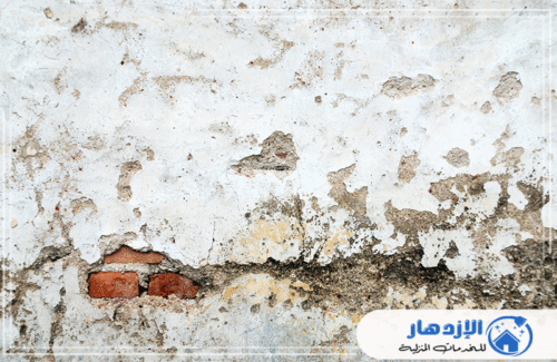 تصدعات الجدران وظهور مواد البناء يدل على أضرار بالغة بسبب الرطوبة والتسربات. نحن متخصصون في علاج الرطوبة في الشارقة وعجمان. اتصل بـ شركة الإزدهار 0505587508 لخدمات متكاملة لـ معالجة التعفن والجدران المتضررة وحماية منزلك.
